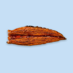 Eel