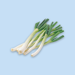 Green onion