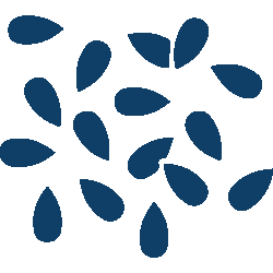 Sezam