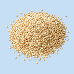 Quinoa
