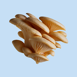 Гливи